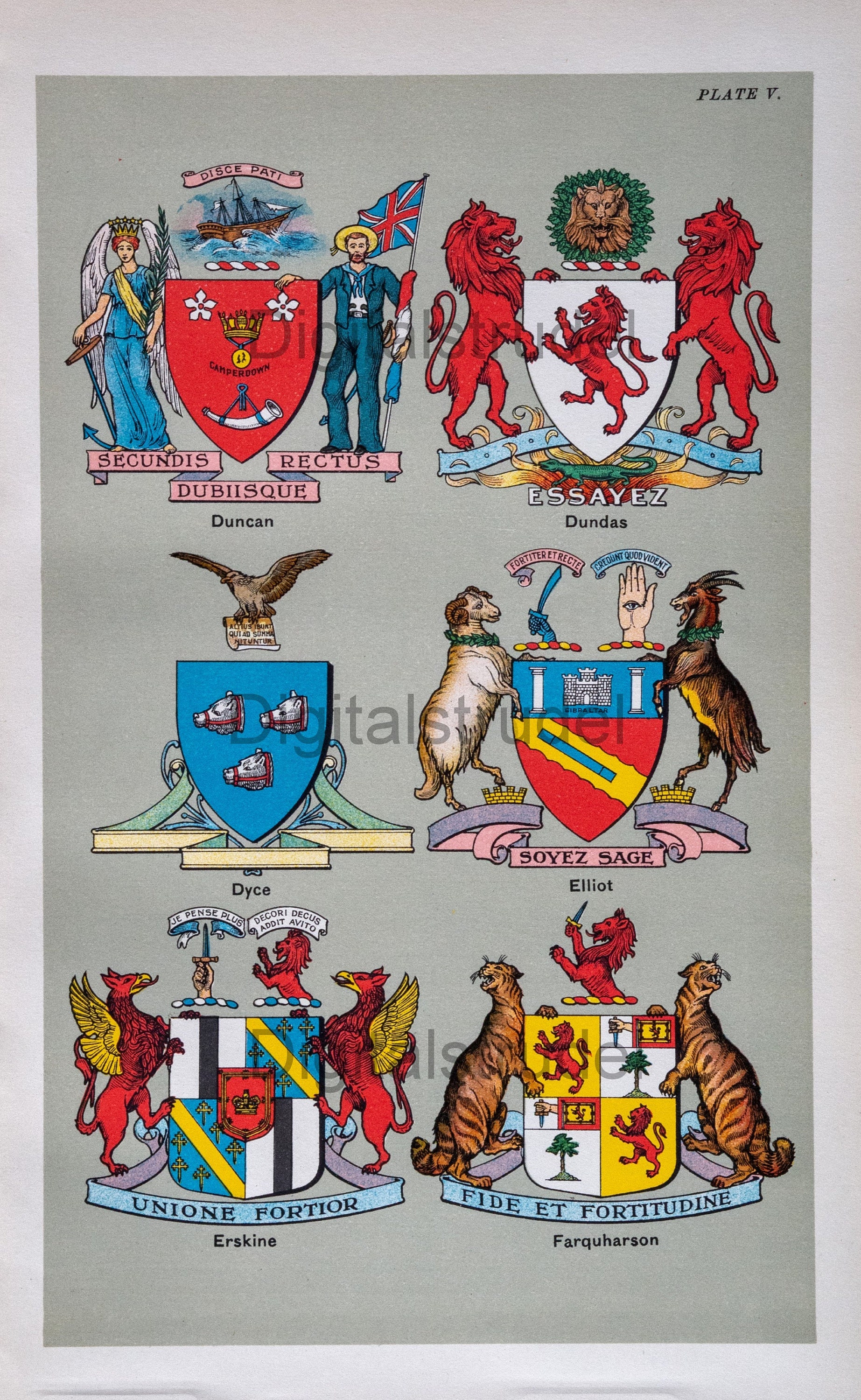 Antique Scottish Coats of Arms. 1906 Print - Duncan - Dundas