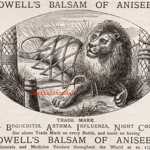 Rare Antique Advertisement for Powell&#39;s Balsam of Aniseed - Cough Remedy  - From 1882 - DIGITAL DOWNLOAD