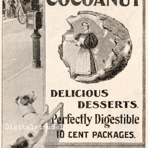 May include: Black and white vintage advertisement for Dunham's Cocoanut, a brand of coconut dessert. The ad features a woman in a dress holding a piece of coconut and the text "Delicious Desserts. Perfectly Digestible. 10 Cent Packages."