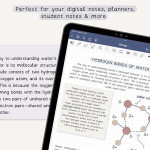 Gemütliche handgeschriebene Schrift für digitale Notizen und digitale Planung Niedliche handgeschriebene Schriftart für Studentennotizen Notizen Bekanntheit iPad Bild 4