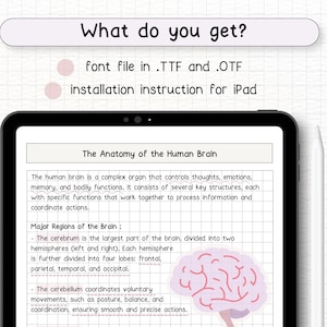 May include: A digital illustration of the human brain with labels for the cerebrum and cerebellum. The text explains the functions of each part of the brain. The image is on a white background with a grid pattern.
