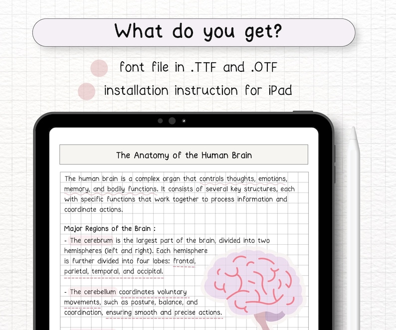 May include: A digital illustration of the human brain with labels for the cerebrum and cerebellum. The text explains the functions of each part of the brain. The image is on a white background with a grid pattern.