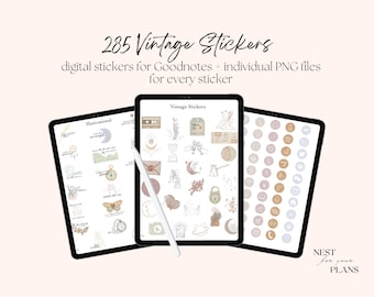 Everyday Vintage Digital Stickers Goodnotes, PNG Boho Stickers, Digital Planner Stickers, Lifestyle Inspirational Stickerbook, Notability