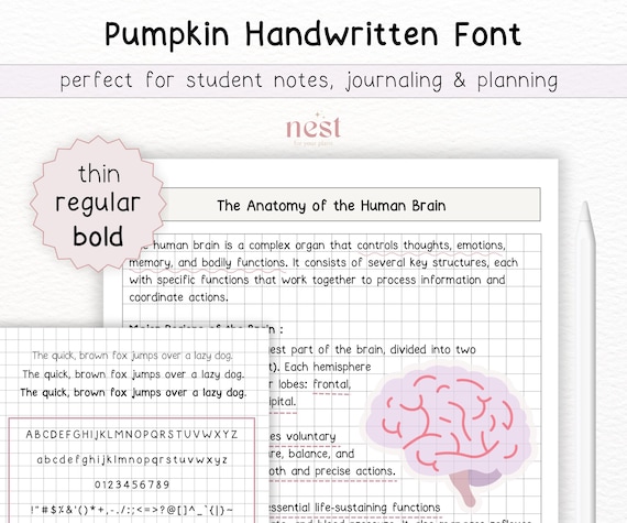 Handwritten Font Bundle For Digital Notes, Planning, Journaling | Goodnotes Cute Handwriting Font for Student Notes | iPad Font | Notability