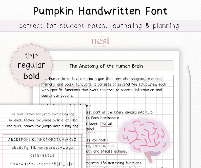 May include: A digital download of a handwritten font called "Pumpkin" in three styles: thin, regular, and bold. The font includes uppercase and lowercase letters, numbers, and punctuation marks. The font is perfect for student notes, journaling, and planning. The image also includes a diagram of the human brain with a caption explaining its anatomy.