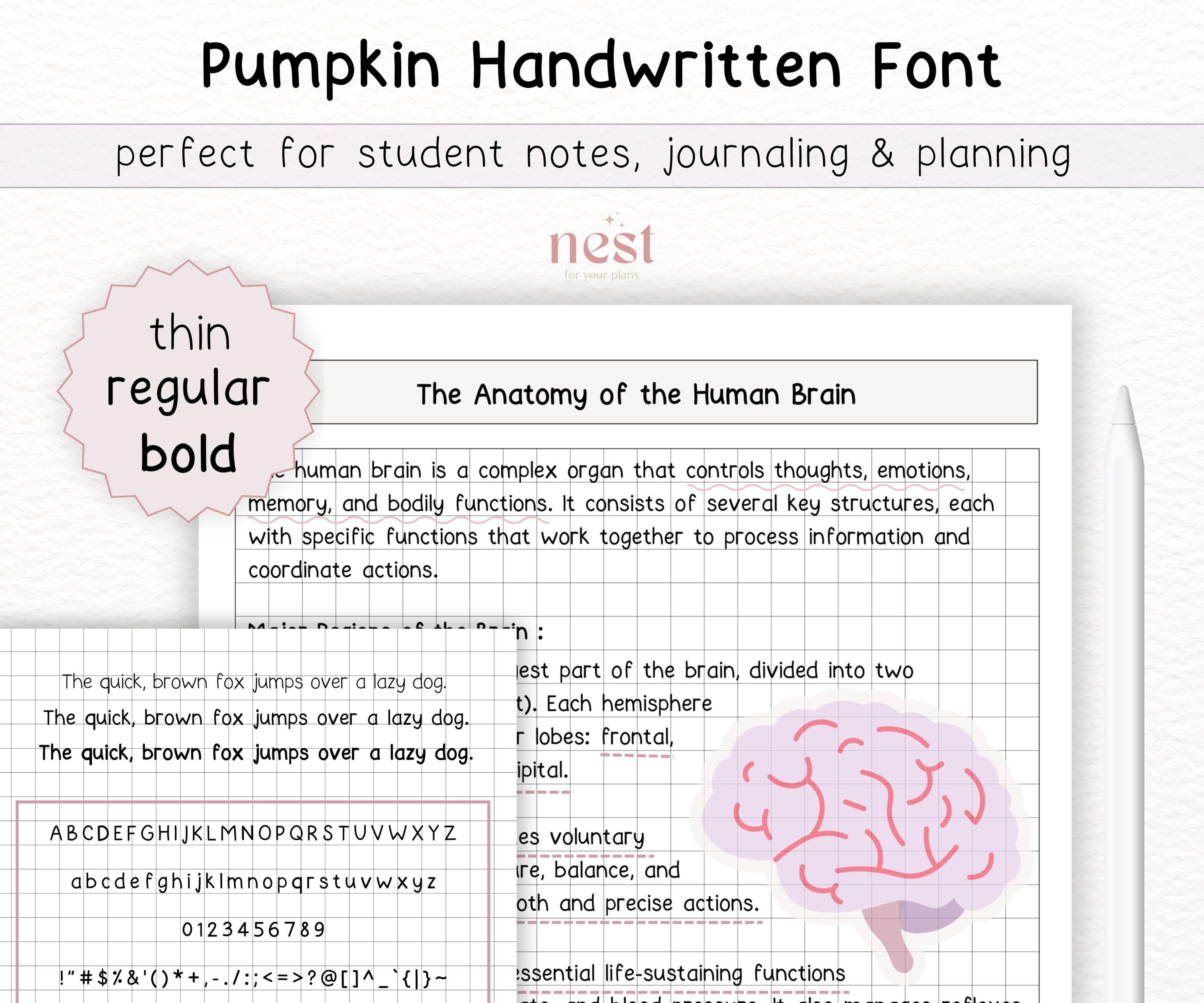 Handwritten Font Bundle For Digital Notes, Planning, Journaling | Goodnotes Cute Handwriting Font for Student Notes | iPad Font | Notability