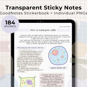Transparent Digital Sticky Notes | Student Stickers | iPad | GoodNotes | Notability | PNG | Aesthetic Pastel Sticky Notes | Digital Stickers