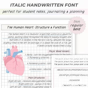 May include: A digital notebook page with the title "The Human Heart: Structure & Function" in an italic handwritten font. The page includes a diagram of a pink heart, text, and a font sample. The text at the top says "ITALIC HANDWRITTEN FONT".
