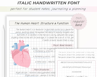 Handwritten Font For Digital Notes, Planning, Journaling, Goodnotes Italic Handwriting Font for Student Notes, iPad Cute Font, Notability
