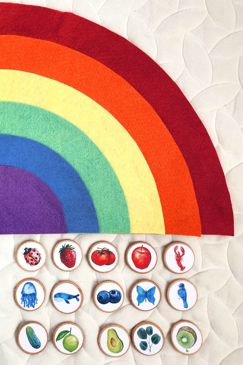 Color Sorting Montessori Preschool Homeschool Activity Etsy