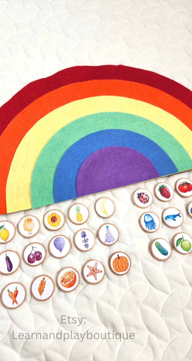 Color Sorting Montessori Preschool Homeschool Activity Etsy