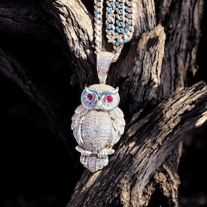 Puede incluir: Un collar con colgante de búho plateado con ojos de piedras preciosas rojas y un cuerpo brillante incrustado con diamantes. El colgante cuelga de una cadena plateada. El collar se exhibe sobre un fondo de madera oscura y texturizada.