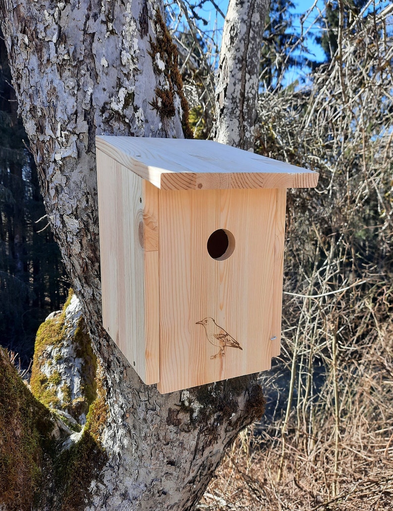 Nistkasten Bausatz NB45 Vogelhaus für Star aus witterungsbeständigen 18mm starkem Kiefernholz mit 45mm Einflugloch Bild 1