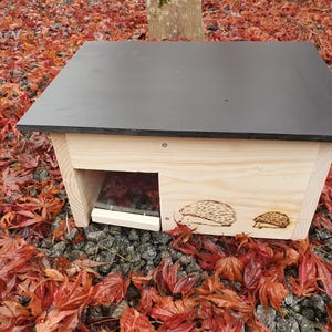 Könnte beinhalten: Ein hölzernes Igelhaus mit schwarzem Dach. Das Haus hat einen rechteckigen Eingang und zwei geätzte Igeldesigns an der Seite. Das Haus ist von roten und orangen Blättern umgeben.