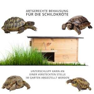 Schildkrötenhaus Lasiert SH2 aus 20mm starken Vollholz-Wetterfest mit Boden und Tür inc. verstellbare Belüftung Schildkrötengehege zdjęcie 4