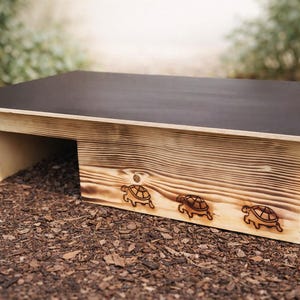 Peut inclure: Une maison en bois pour tortue avec un dessus sombre et une base marron clair texturée. L'avant de la maison présente trois motifs de tortues gravés. La maison est conçue pour les petits animaux et est située à l'extérieur.