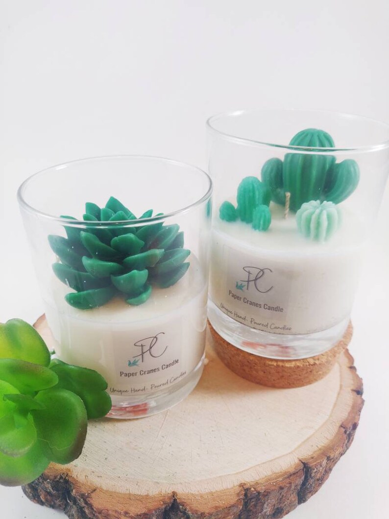 Terrarium Succulent Soy Candle Cactus Candle Room Decor Housewarming Gifts Birthday Gifts Holidays Gift Gifts For Her Graduation Gift Com Candles Candles Holders