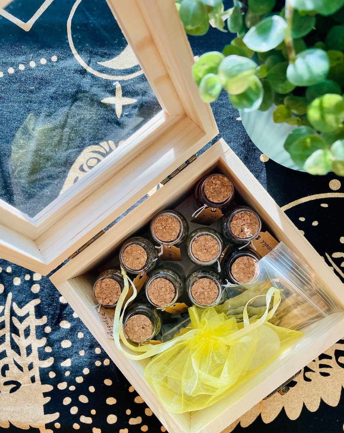 The Magical Herbal Apothecary Altar Gift Set with 10 Herbs Etsy
