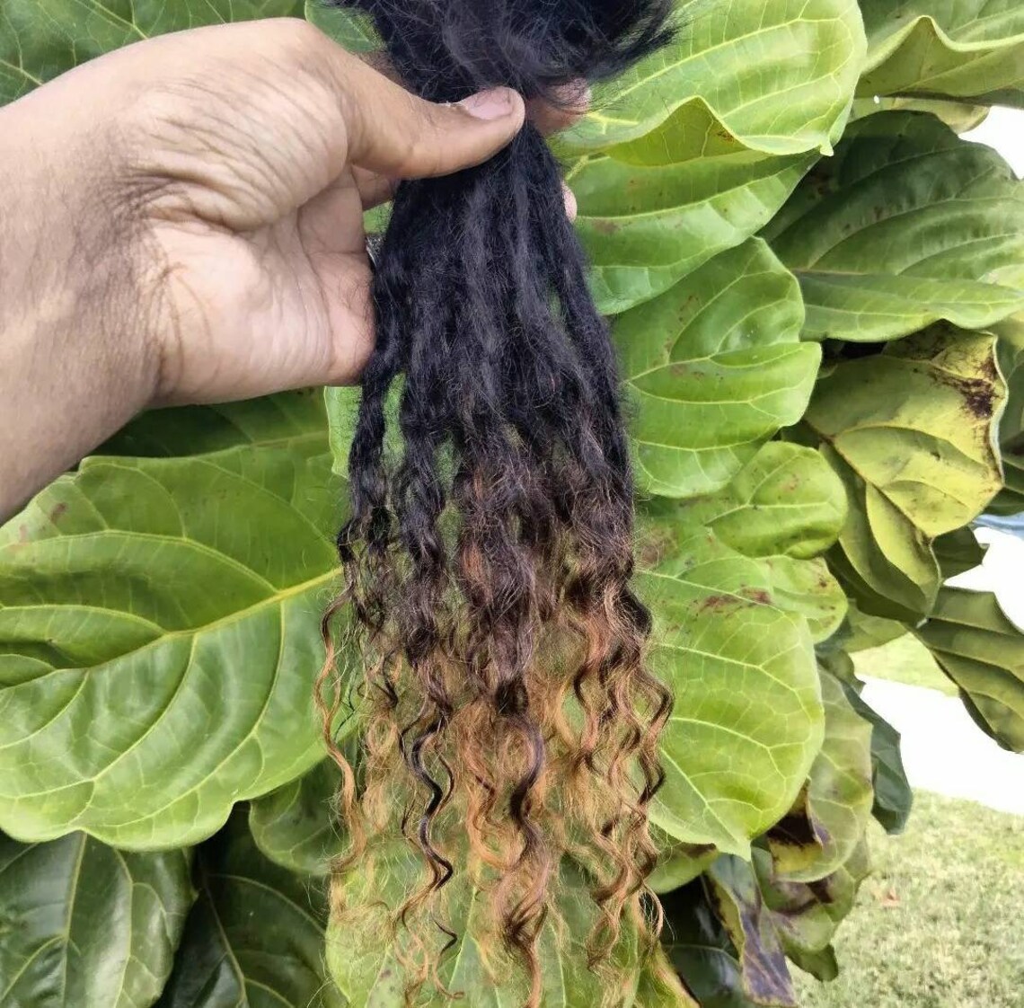 Goddess Locs Human Hair Extensions Curly Hair Xs S Ml 10 Etsy