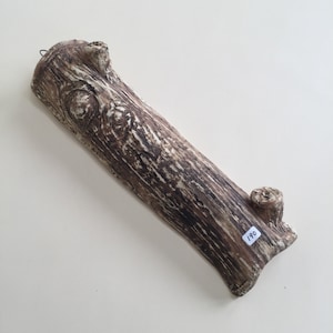 Tree trunk hanging vase