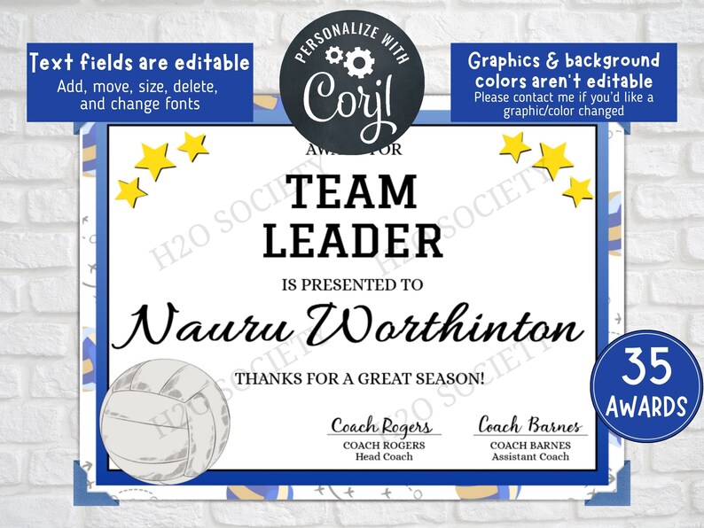 Editable Volleyball Award Certificates, Award Ceremony Certificates, End of Season Volleyball