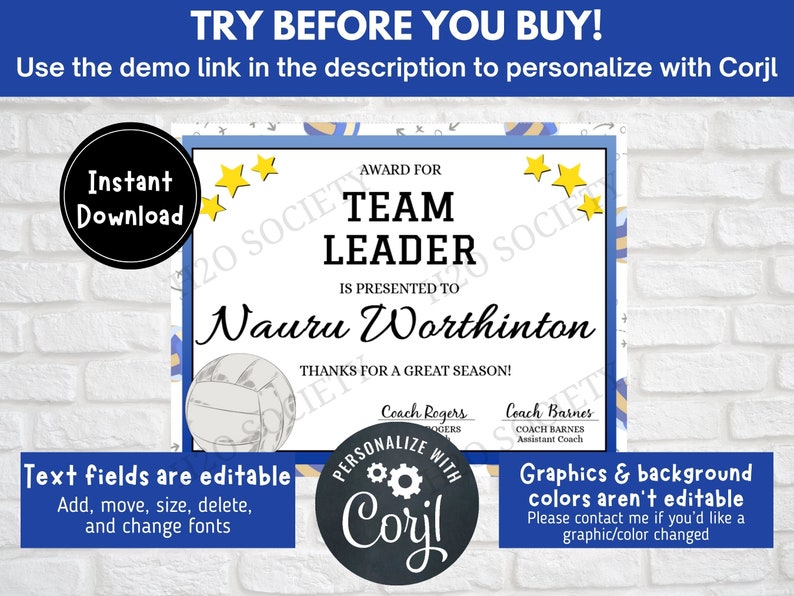 Editable Volleyball Award Certificates, Award Ceremony Certificates, End of Season Volleyball