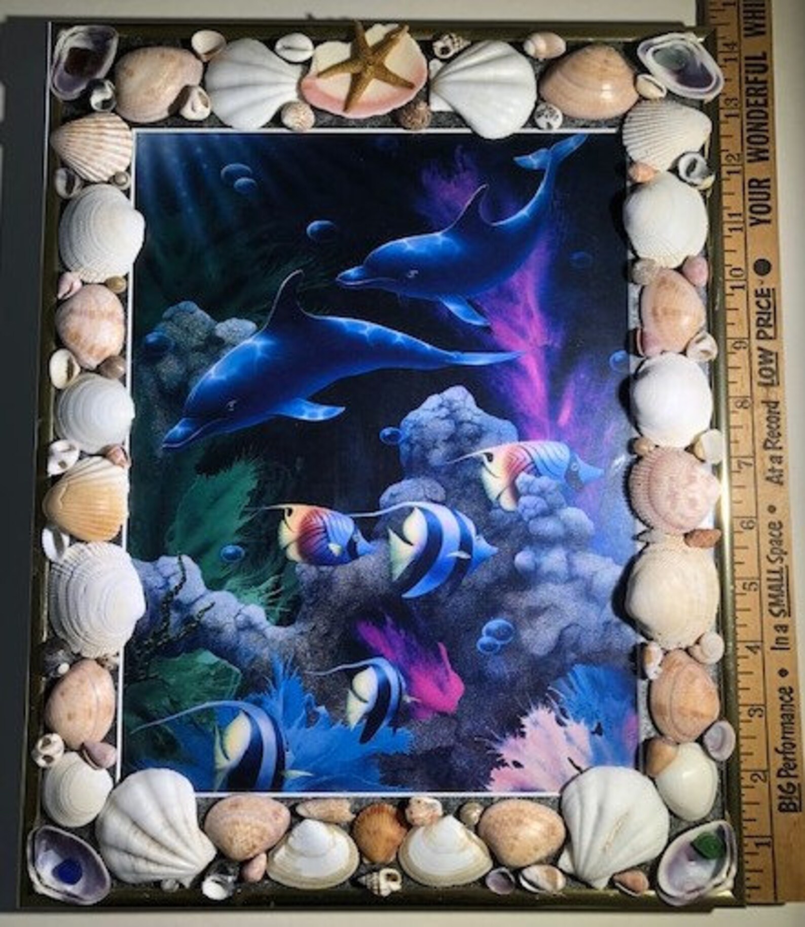 Beach décor seashell wall picture Unique coastal wall art | Etsy