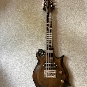 8 string electric mandolin