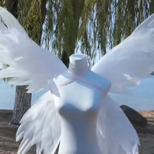 May include: White angel wings on a mannequin. The wings are large and feathery, with multiple layers of translucent material. The mannequin is white, with a pink strap across the chest. The background includes a lake, trees, and a sandy beach.