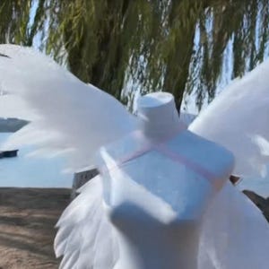 Może przedstawiać: Biały manekin z dużymi, upierzonymi skrzydłami, różową wstążką i spokojnym tłem nad jeziorem. Skrzydła są szeroko rozłożone, tworząc dramatyczny efekt. Mały pies jest widoczny na piaszczystym brzegu.