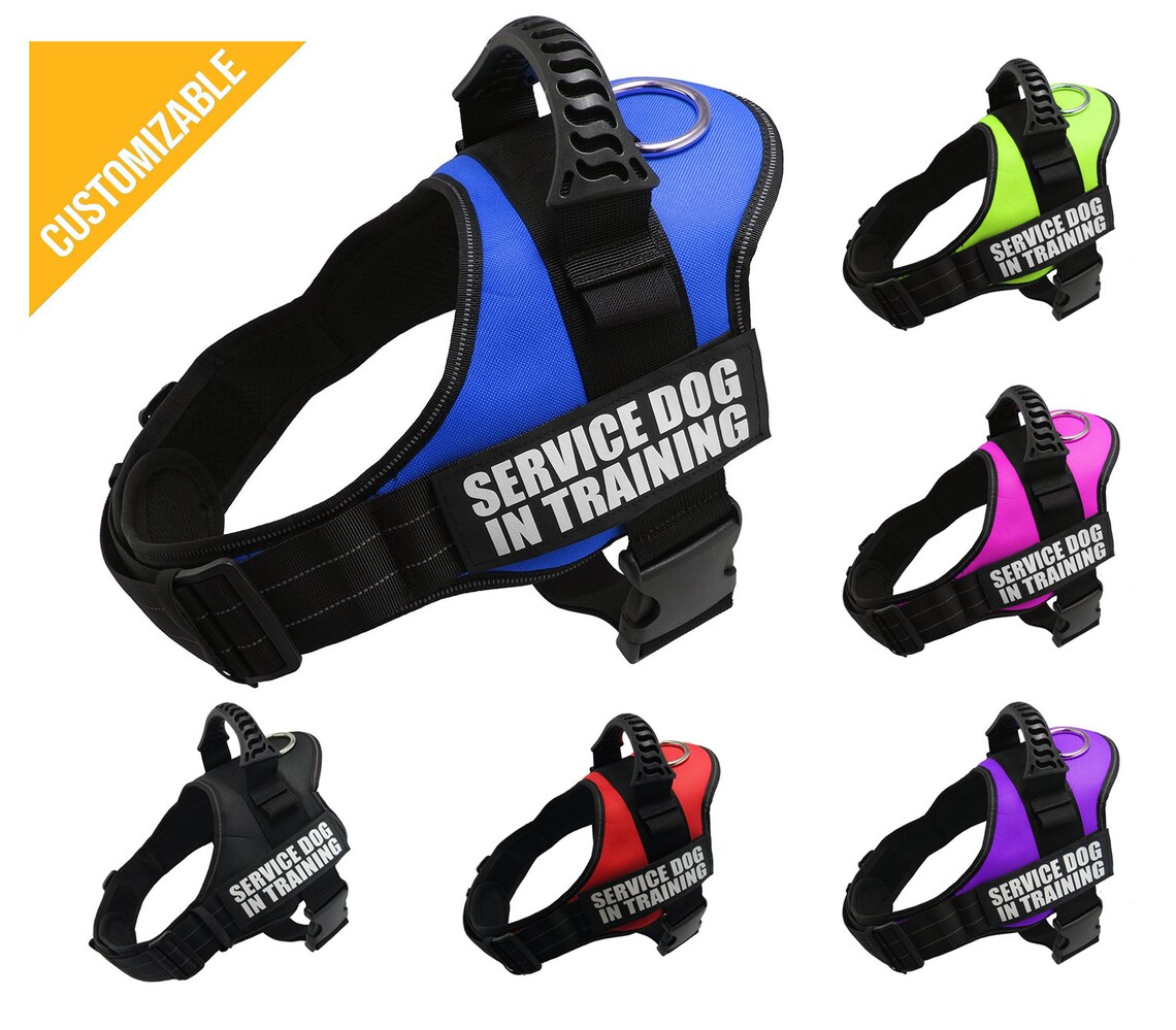 Personalized Dog Harness with Name Tag Adjustable Reflective Etsy