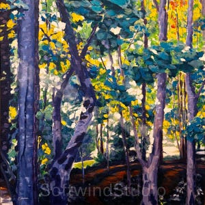 Light Through the Trees