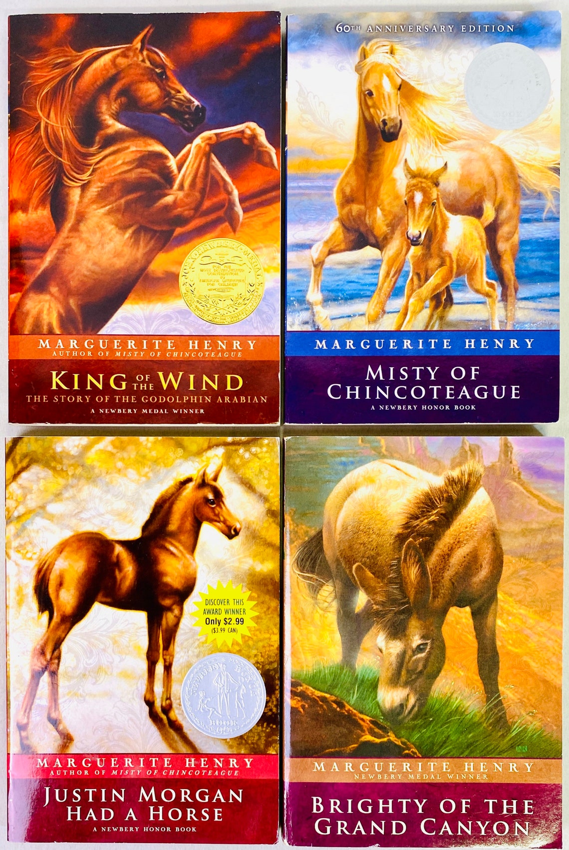 Misty Series Horse Book Set Choose Your Own King of the Wind Etsy