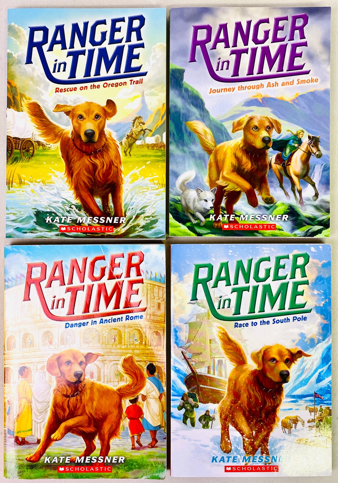Ranger in Time Vet Volunteers Book Set Choose Your Own Books Etsy