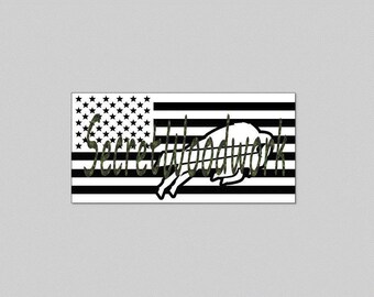 Bills Flag SVG