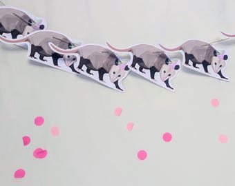 Party Possum card bunting/ decor/ funny / Party decorations