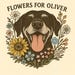 Flowers For Oliver