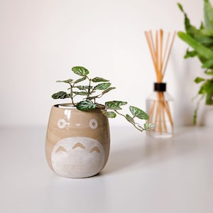 May include: A tan ceramic plant pot with a white Totoro-inspired design, containing a small green plant with white-veined leaves. The pot is on a white surface. A glass diffuser with reeds is in the background.