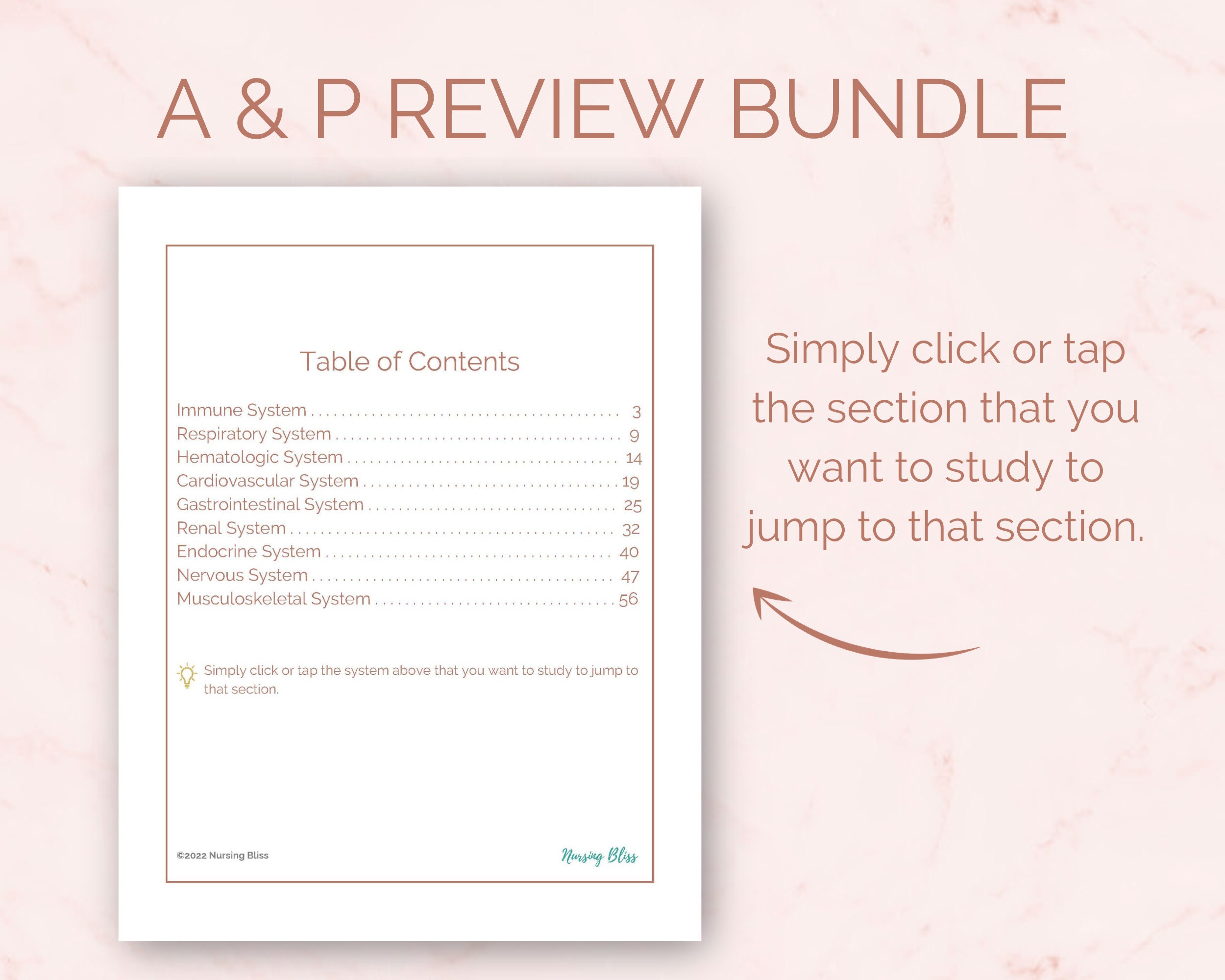 Anatomy Physiology Study Guide Notes Bundle for Nursing Students ...