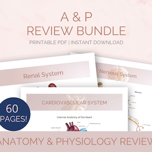 Paquete de notas de anatomía y fisiología / Guía de estudio para estudiantes de enfermería / Cardiovascular y más / Revisión del sistema / PDF