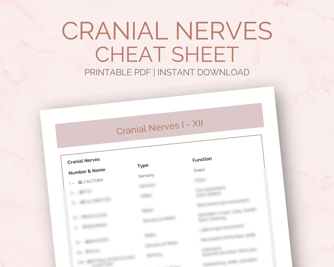 Cranial Nerves Cheat Sheet: Nursing Study Guide (digital Download) - Etsy
