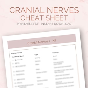 Cranial Nerves Cheat Sheet| Nursing Notes Study Guide | Cranial Nerves and Functions | Digital Download | PDF