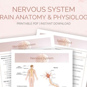 Anatomy Physiology Study Guide Notes Bundle for Nursing Students ...