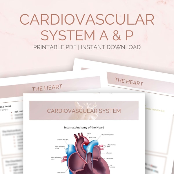 Cardiovascular System A & P Study Guide |  Nursing Notes | The Heart | Anatomy and Physiology Review |  Digital Download | PDF