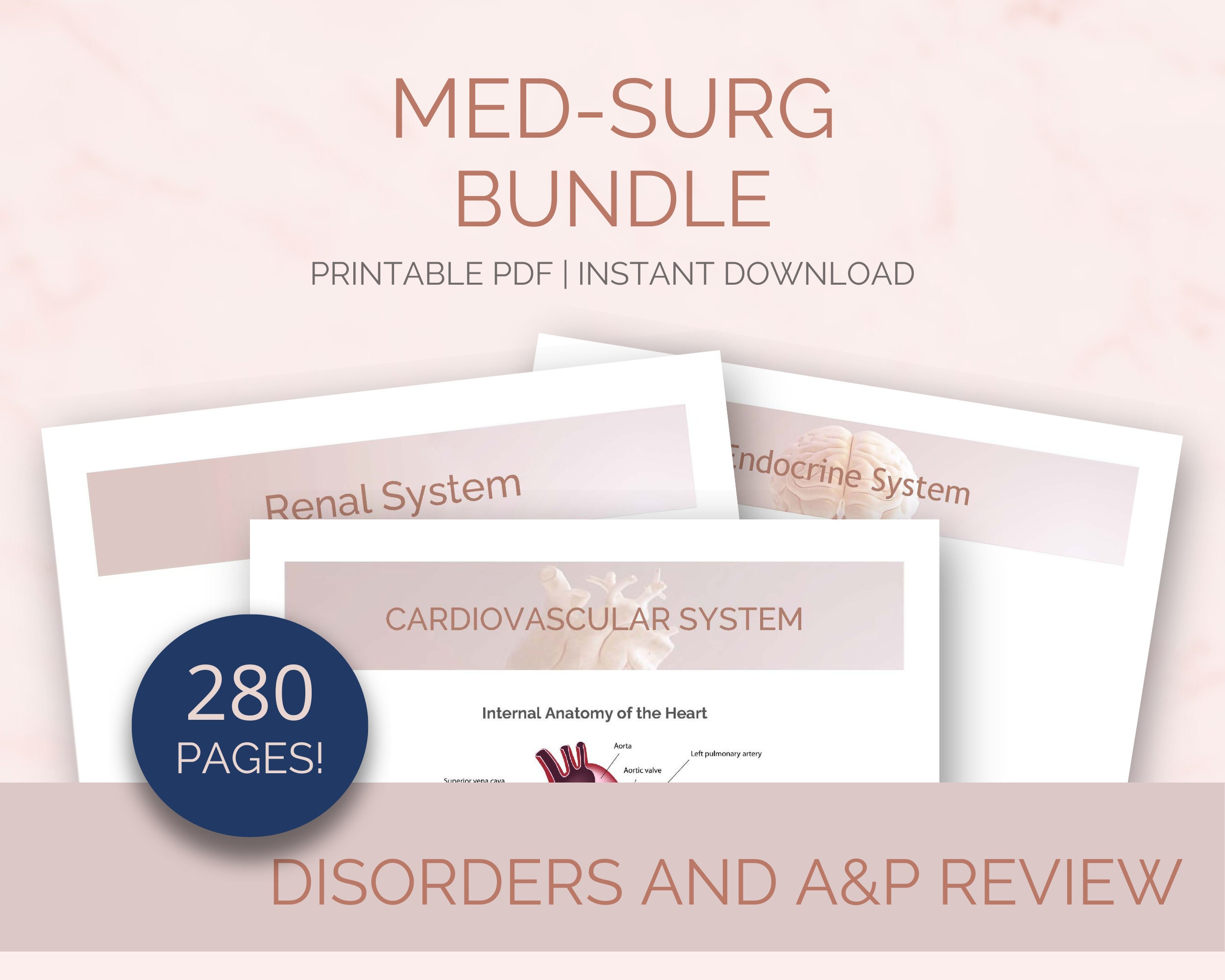 Med Surg Study Guide Bundle Nursing Notes | 280 Pages Ekgs Ecgs, Shock ...