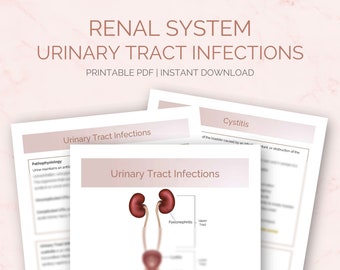 Urinary Tract Infections Study Guide | Nursing Student Notes | Urethritis  | Cystitis | Pyelonephritis | Renal System | Med Surg | PDF