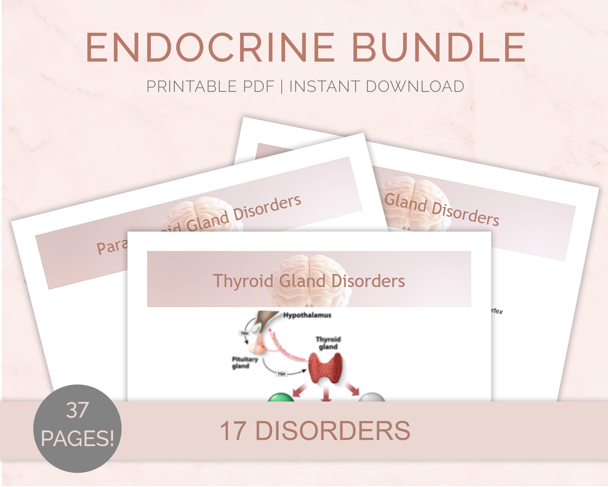 Endocrine Bundle Nursing Notes | Student Study Guides | Diabetes ...