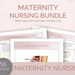 OB & Maternity Nursing Study Guide Nursing Notes 56 Pages - Etsy