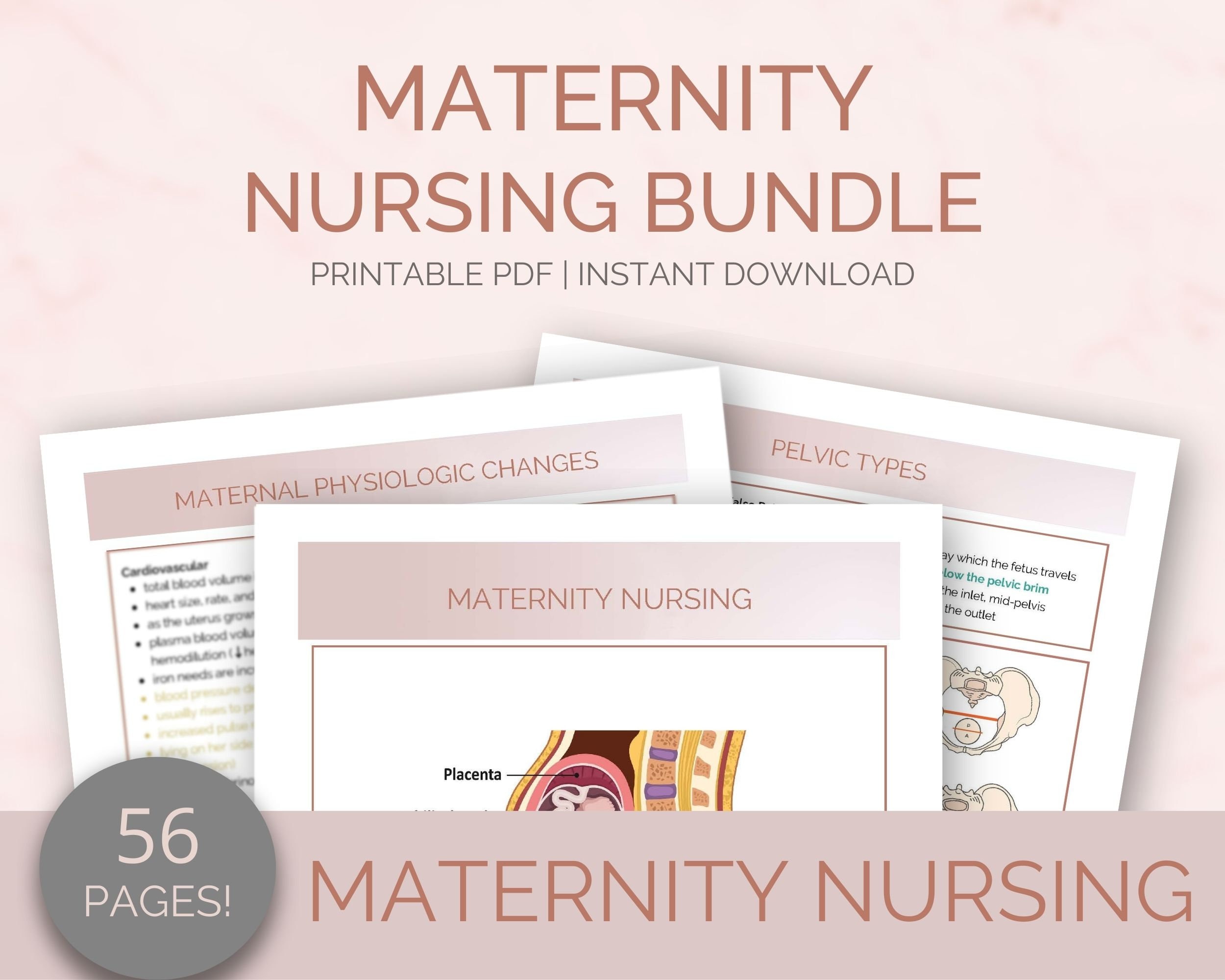 OB & Maternity Nursing Study Guide Nursing Notes 56 Pages Includes