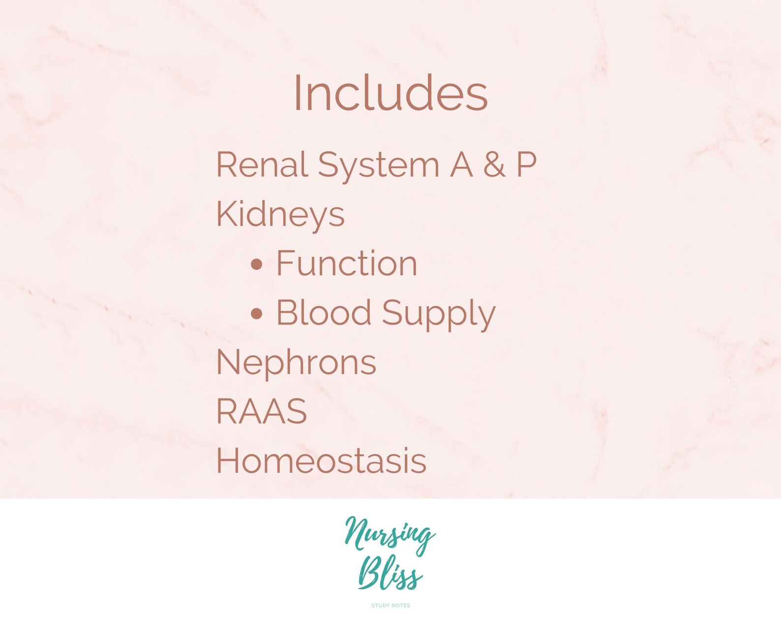 Renal / Urinary System Study Guide | Nursing Student Notes | Anatomy ...